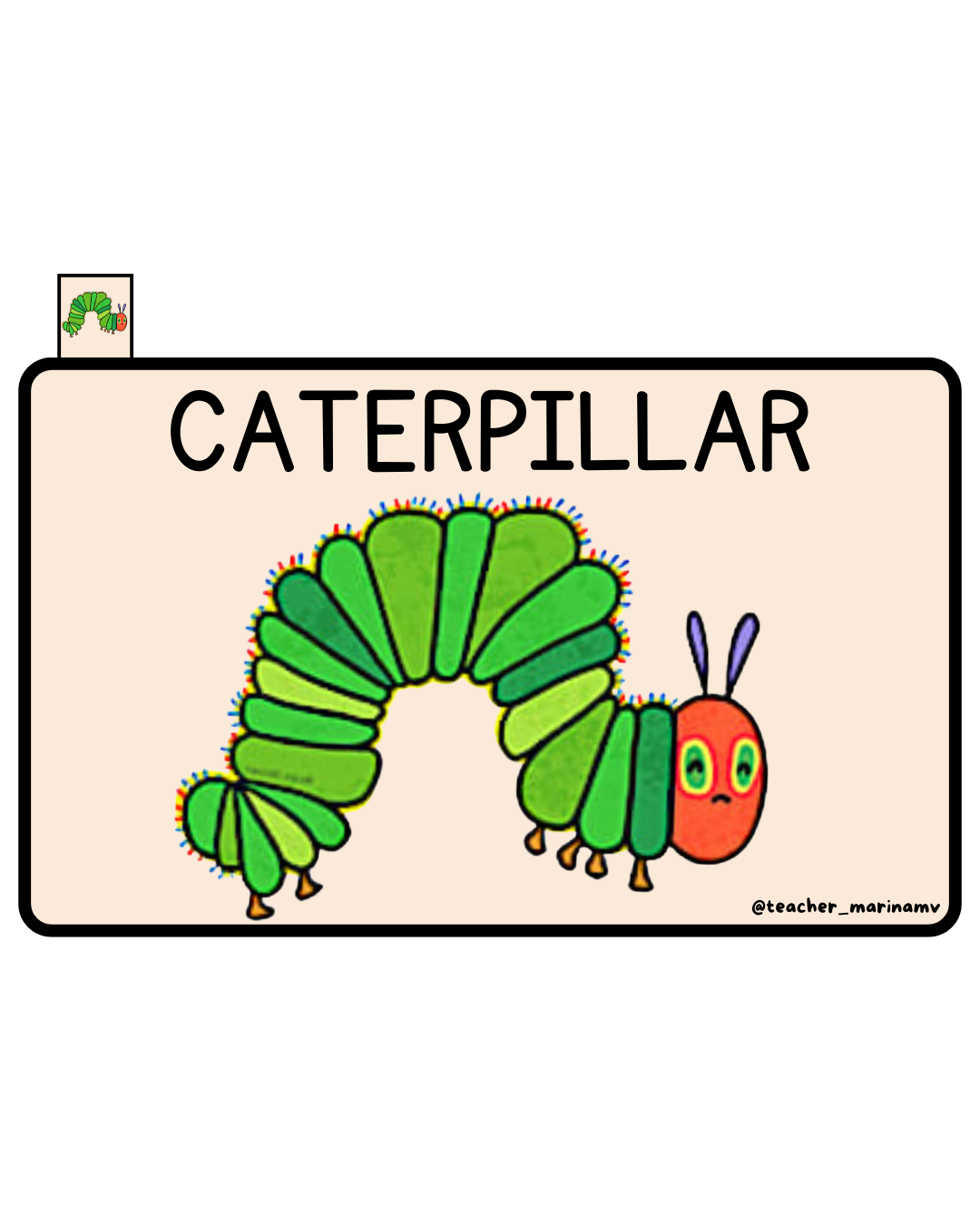 Librito de vocabulario: The very hungry caterpillar