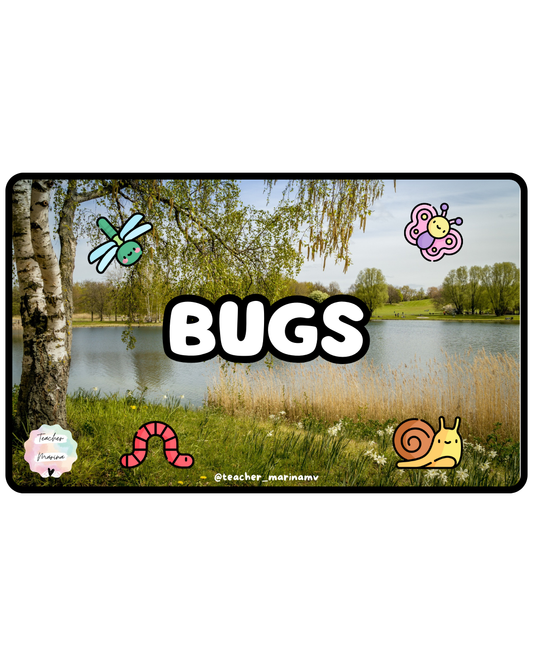 Librito de vocabulario: Bugs