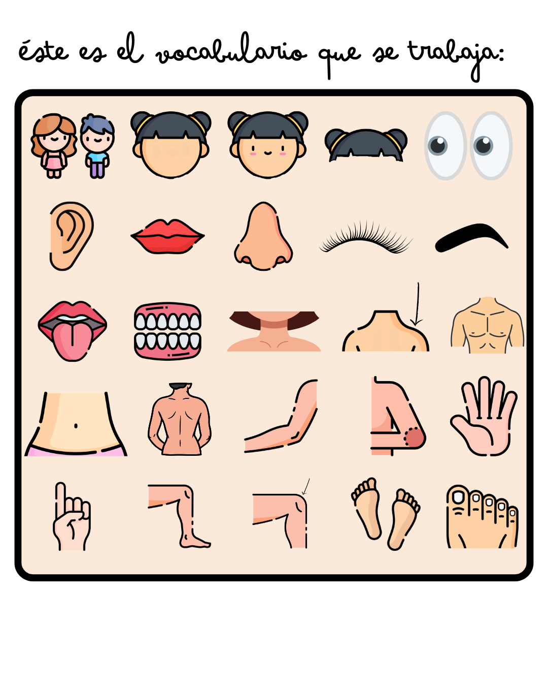 Flashcards: Body Parts