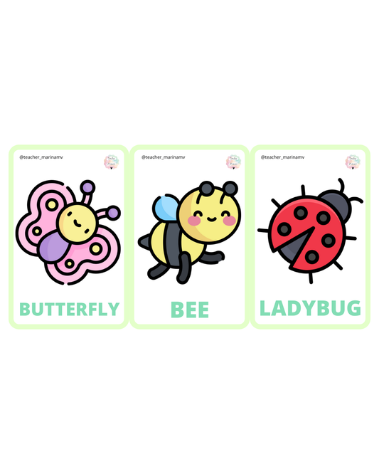 Flashcards: Bugs