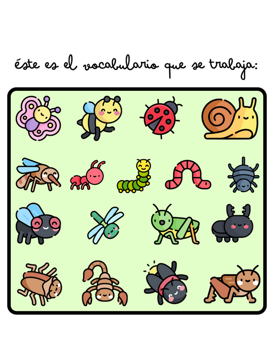 Flashcards: Bugs