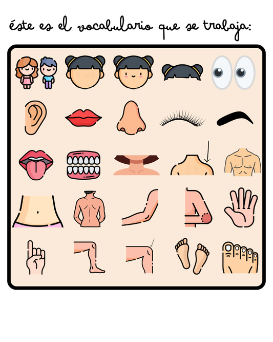 Flashcards: Body Parts