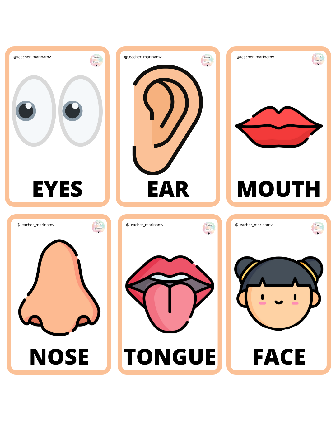 Flashcards: Body Parts